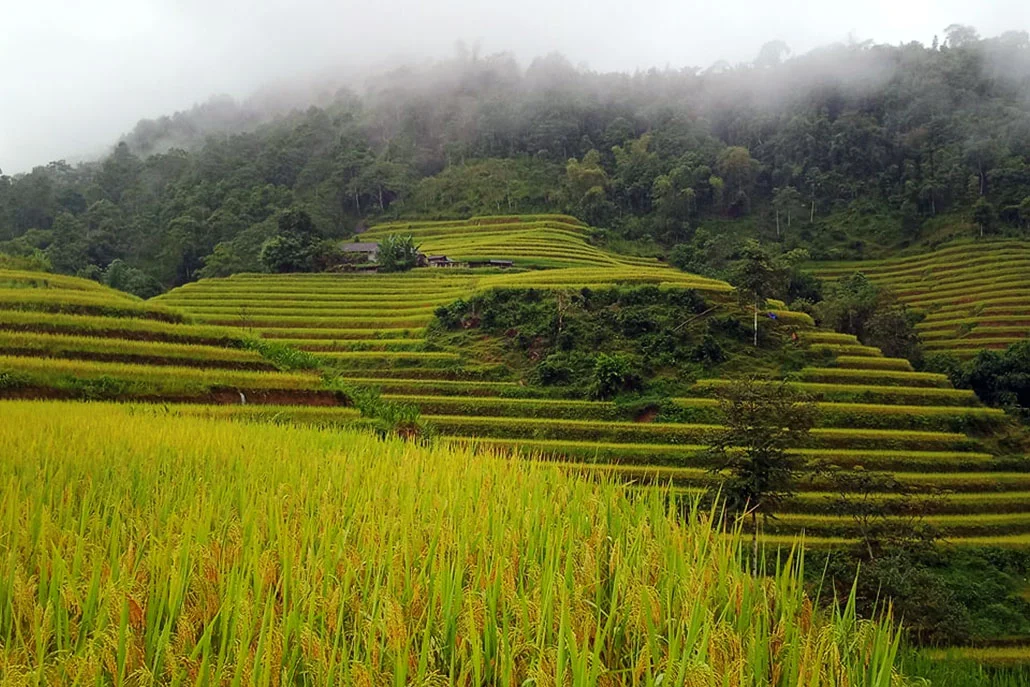 Hoang Su Phi Hiking Tour 3 Day Itinerary